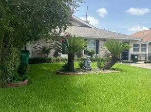 Lorraine M.'s turf maintenance service result