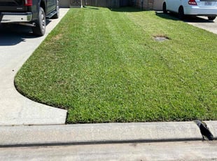 Mary E.'s lawn care services service result