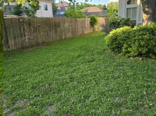 Danielle H.'s lawn maintenance service result