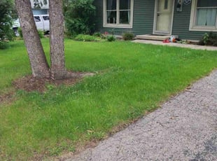 Clarisse S.'s lawn care services service result