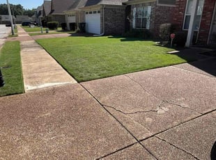 Gregory W.'s grass maintenance service result