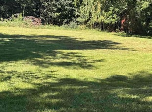 David B.'s grass cutting service result