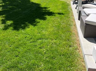 Veronica P.'s lawn maintenance service result