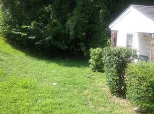 Beth W.'s Bush Trimming service result