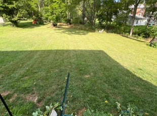 Rick C.'s lawn maintenance service result