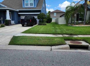 Dee C.'s turf care service result
