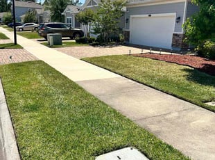 Sabrina S.'s grass maintenance service result
