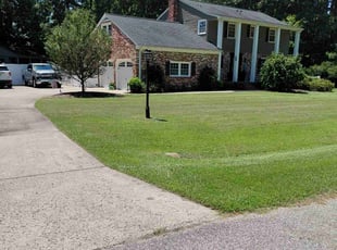 Krystin L.'s grass maintenance service result