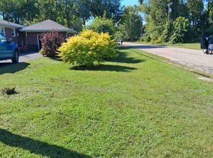 James A.'s grass cutting service result