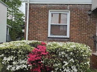 Rick G.'s Bush Trimming service result