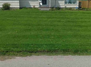 Phenola M.'s landscaping service result