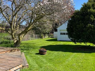Mark G.'s lawn care services service result