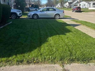 Jeremy Y.'s grass maintenance service result
