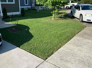 Nina N.'s lawn care services service result
