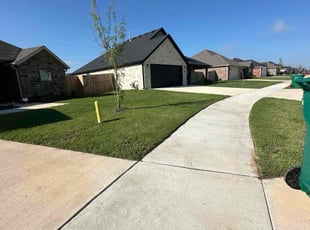 Brandi B.'s turf care service result