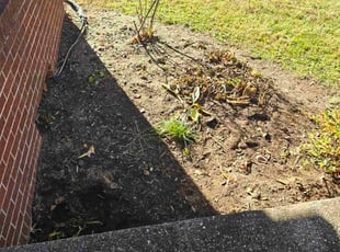 Kendall P.'s grass maintenance service result