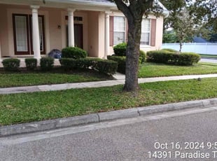 Marquerite S.'s grass cutting service result