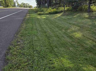 Bruce T.'s lawn service service result