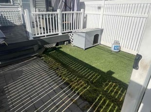 Michele C.'s grass maintenance service result