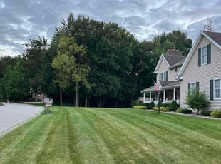 Kirsten E.'s lawn care service result