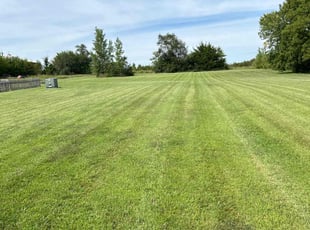 Suzanne S.'s lawn care service result