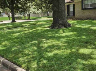Robert M.'s lawn maintenance service result