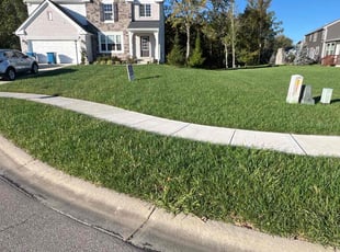 Leonardo L.'s lawn care service result