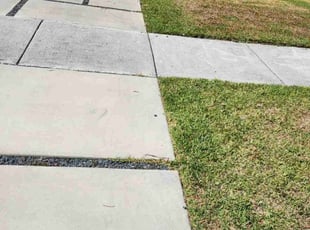 Margaret P.'s lawn care services service result