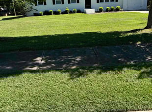 Mike B.'s lawn maintenance service result