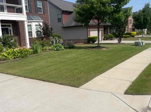 Michael Y.'s yard care service result