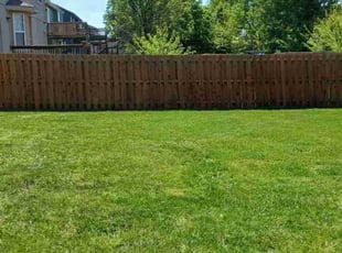 Andres H.'s turf care service result