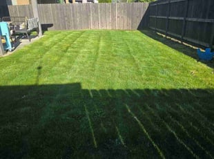 Shaqurah Z.'s lawn maintenance service result