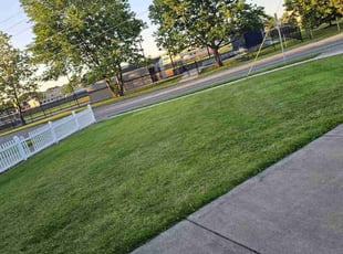 Vincent C.'s lawn care services service result