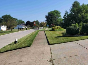 VANESSA F.'s turf maintenance service result