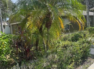 Narvie, S.'s lawn maintenance service result