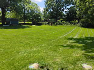 Sandra J.'s grass maintenance service result