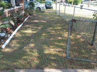 Sara W.'s Bush Trimming service result