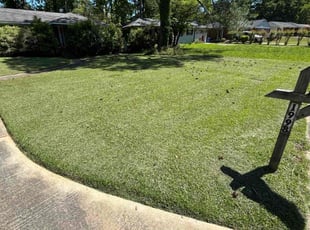 James M.'s turf care service result