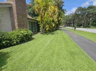 William R.'s grass cutting service result