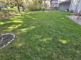 Ms H.'s grass maintenance service result