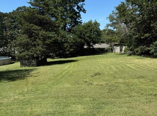 James A.'s grass cutting service result