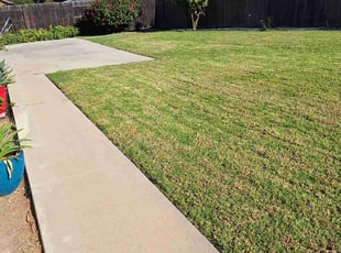 Richard L.'s turf care service result