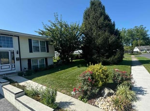 Paul T.'s lawn care service result