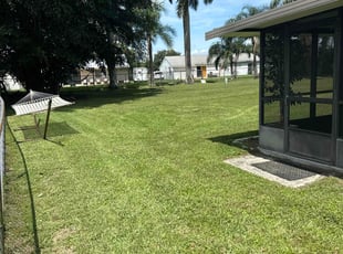 Lester G.'s turf maintenance service result