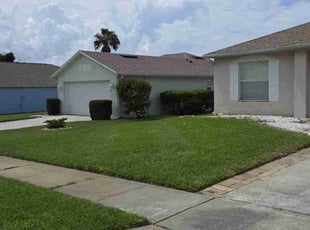 Amy A.'s turf care service result