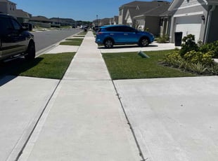Nathaniel B.'s grass maintenance service result