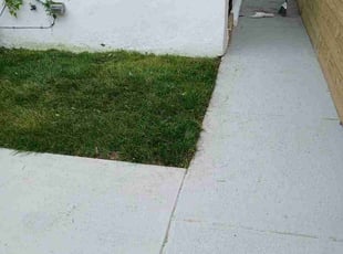 Glenn F.'s turf care service result