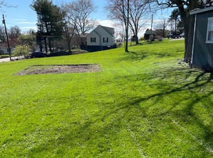 Sandra H.'s grass maintenance service result
