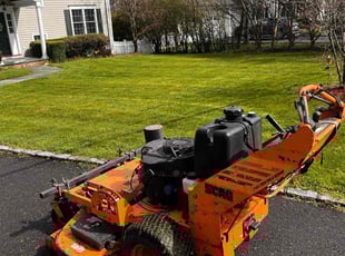 Vidal B.'s lawn care services service result