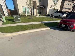 Villiam K.'s lawn care services service result